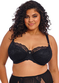 Biustonosz Elomi BRIANNA EL8081BLK Uw Padded Half Cup Bra Black